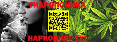индика Конаково