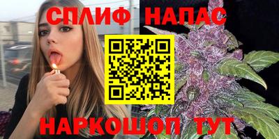 индика Конаково
