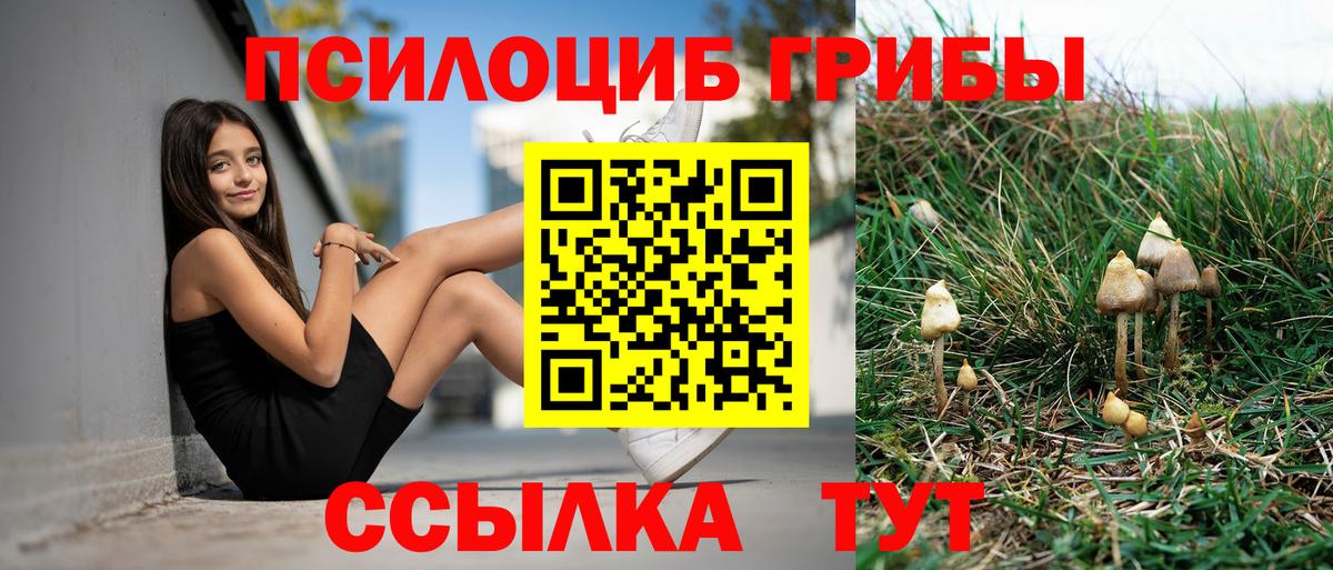 Галлюциногенные грибы GOLDEN TEACHER  Псилоцибиновые грибы прущие грибы  Кохма  Вход с VPN 