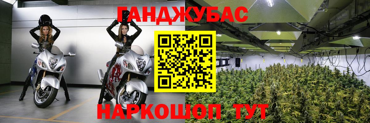 Конопля семена  Вход с VPN  Шишки марихуана Ganja  Канабис план  Кохма 